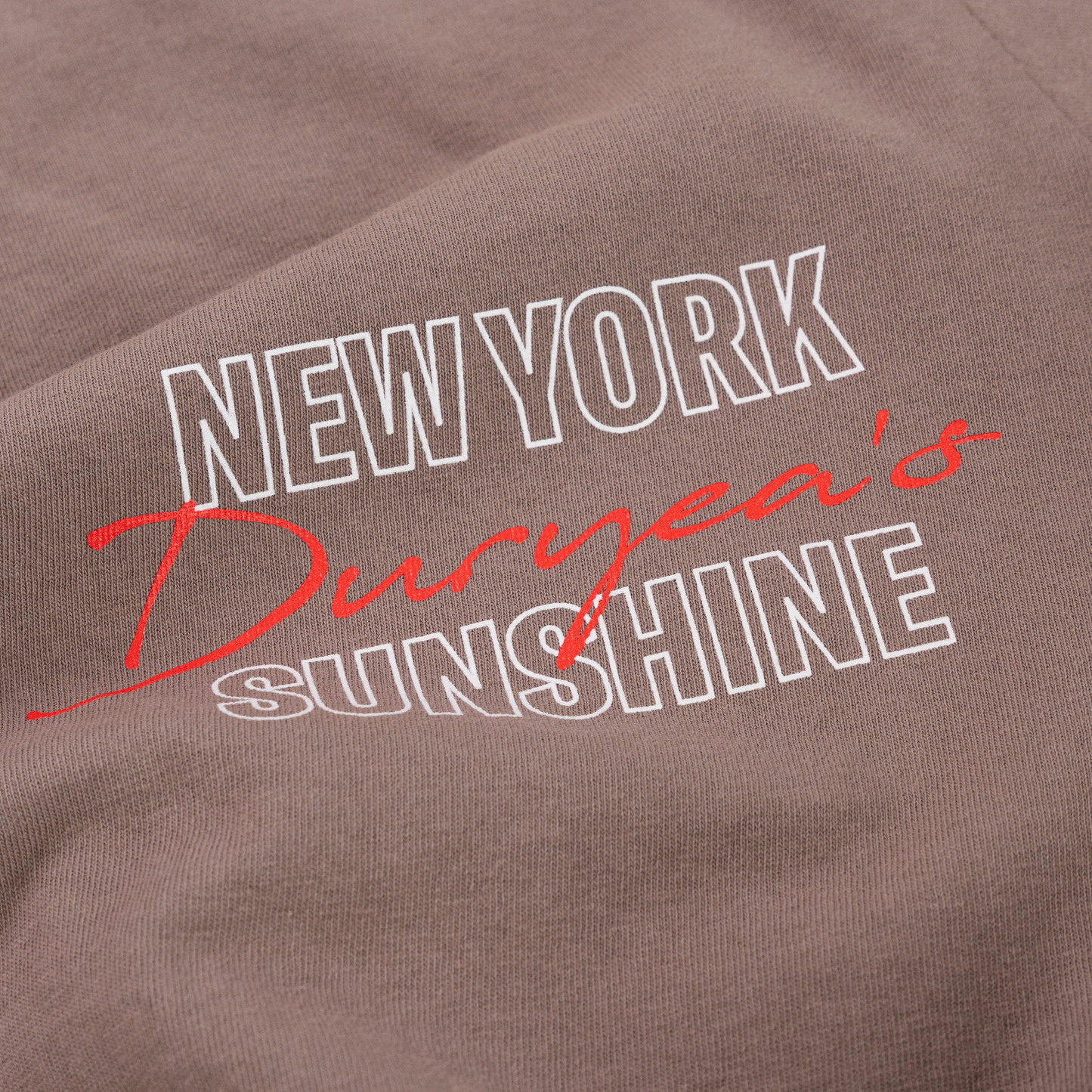 WORLD FAMOUS T Shirt Brown