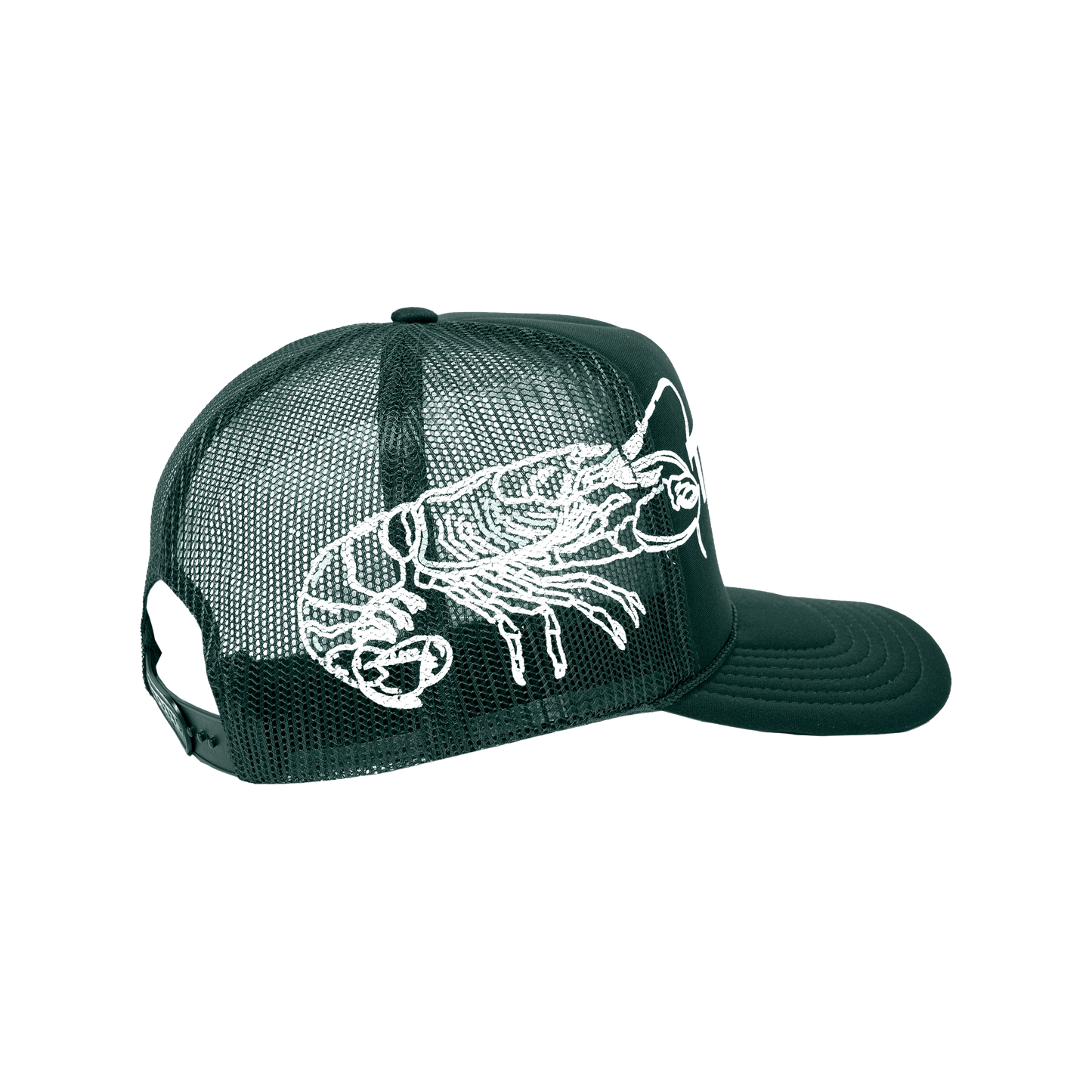 LOBSTER COBB SALAD Hat Green