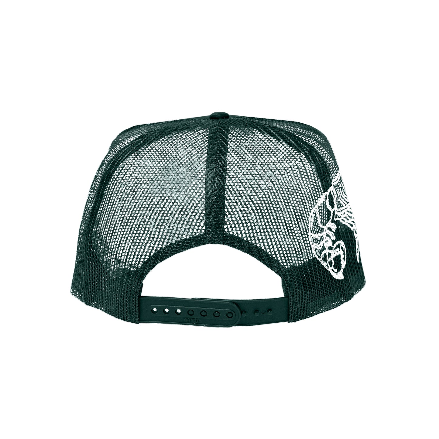 LOBSTER COBB SALAD Hat Green