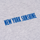 New York Knicks Hoodie Grey