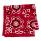 New York Sunshine x Dickies Table Saw Bandana Red
