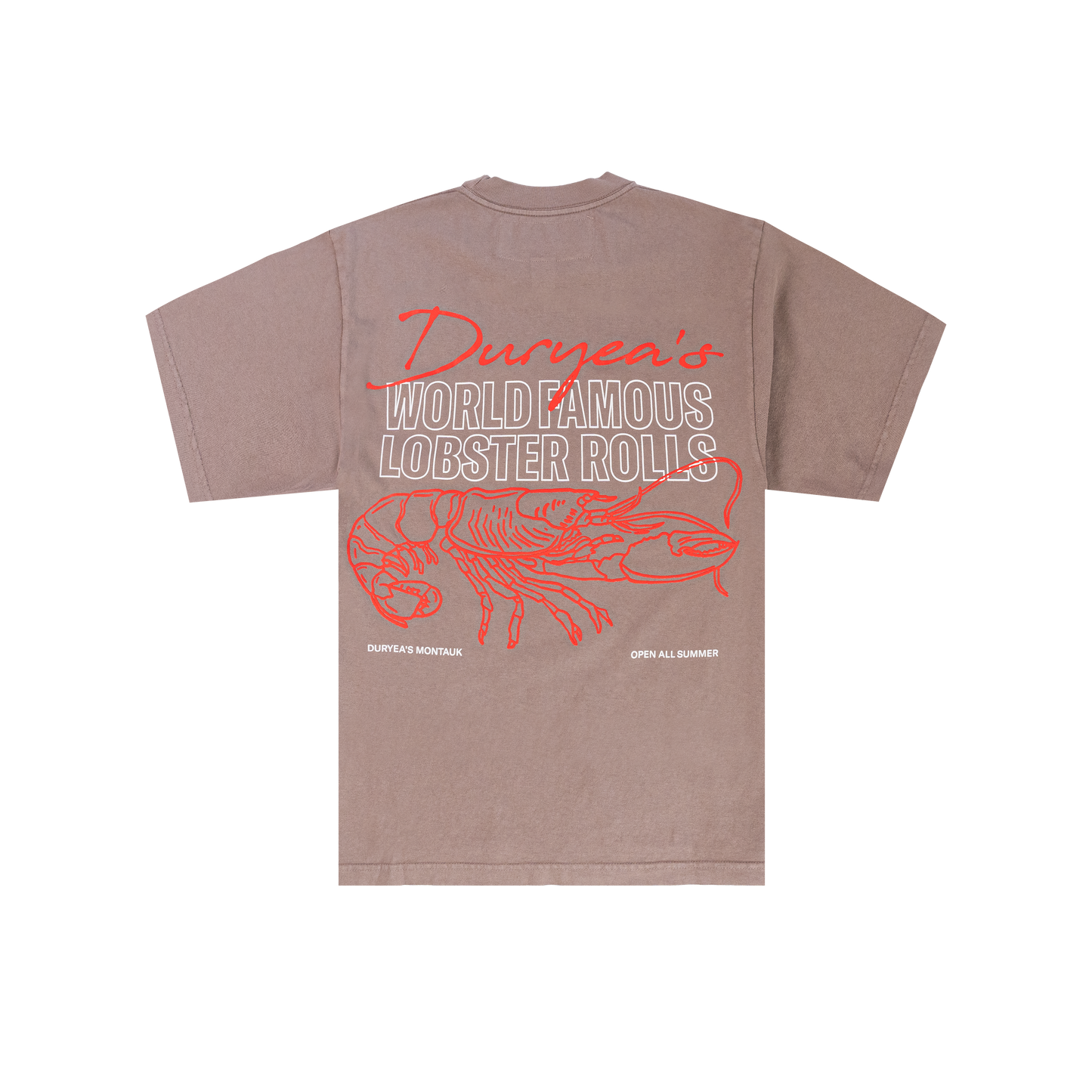 WORLD FAMOUS T Shirt Brown